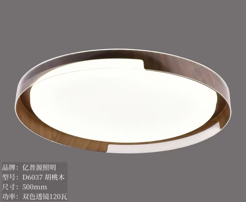 CEILING LIGHT C523