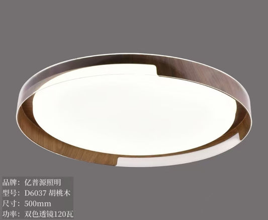 CEILING LIGHT C523