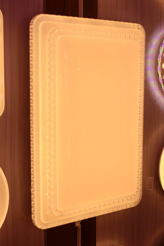 CEILING LIGHT C123