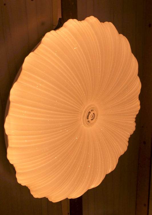 C104