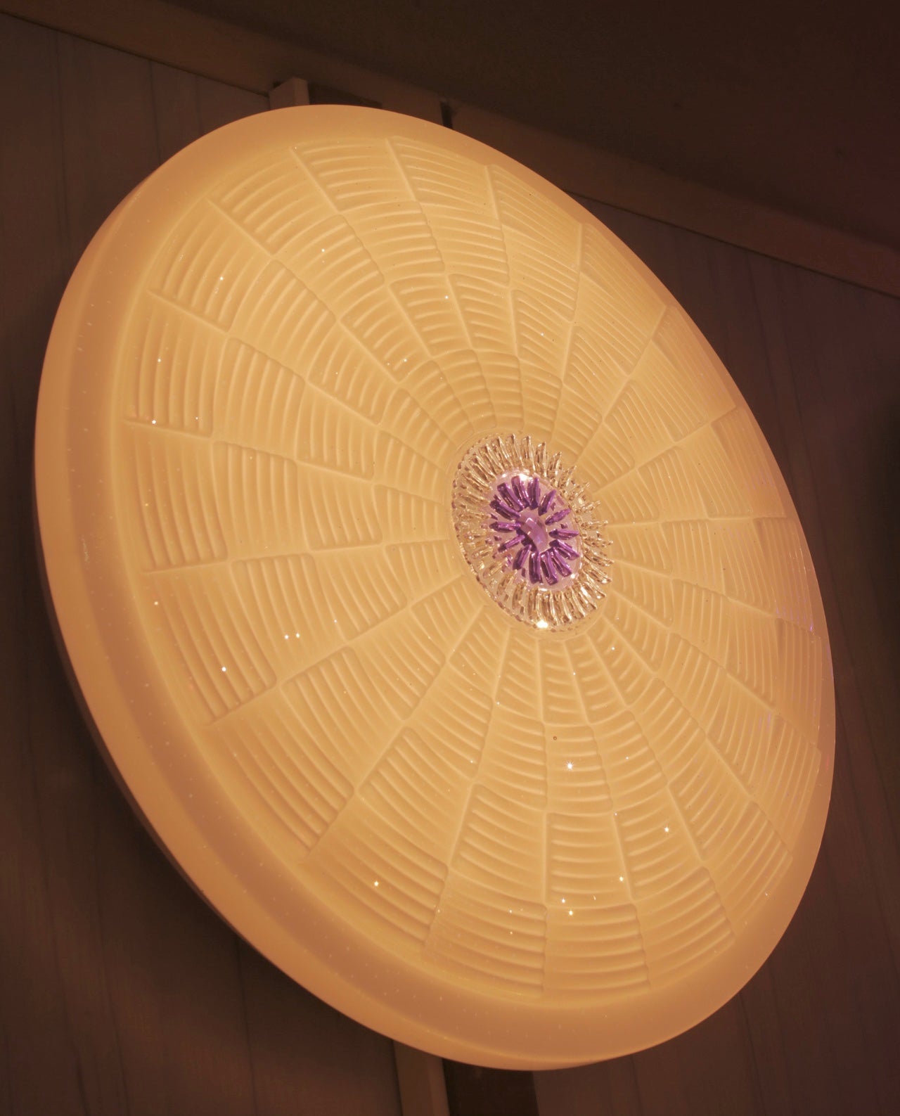 CEILING LIGHT C109