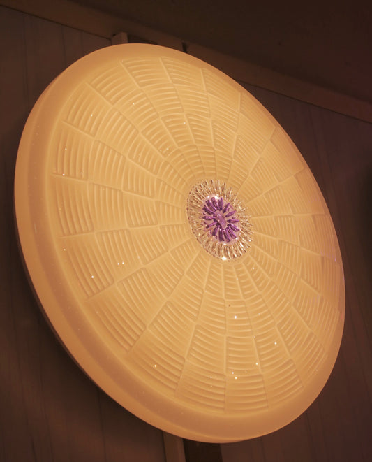 CEILING LIGHT C109