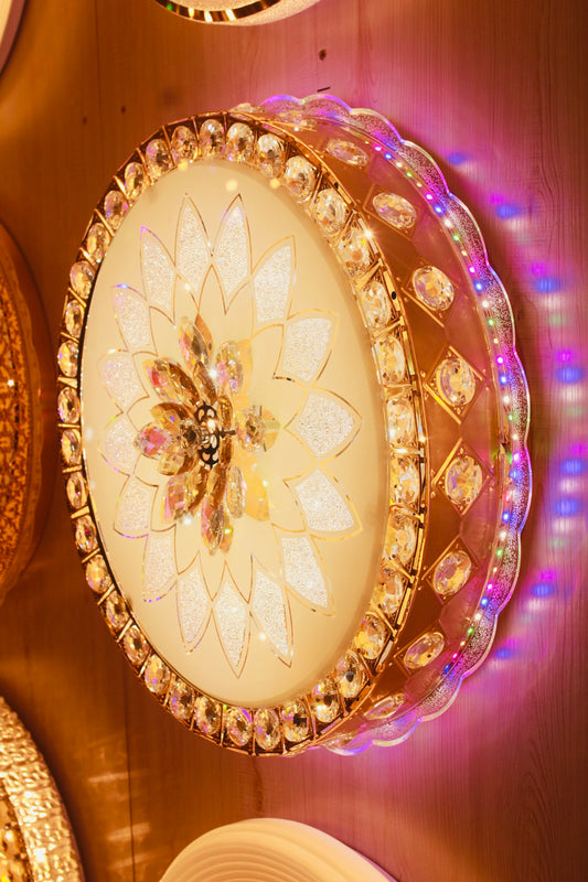 CEILING LIGHT C101