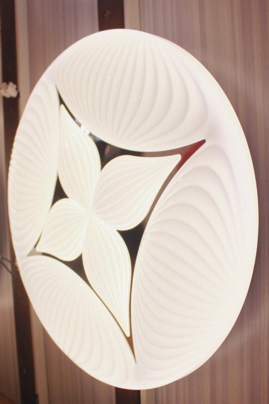 CEILING LIGHT C407