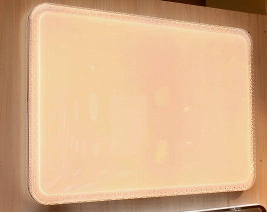 CEILING LIGHT C202