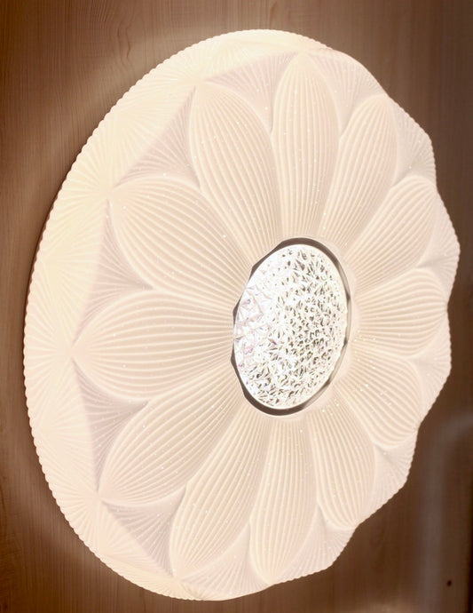 CEILING LIGHT C211