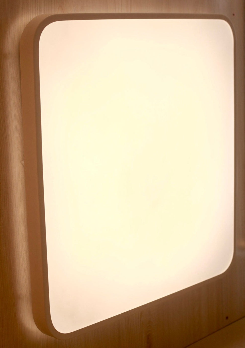 CEILING LIGHT C215