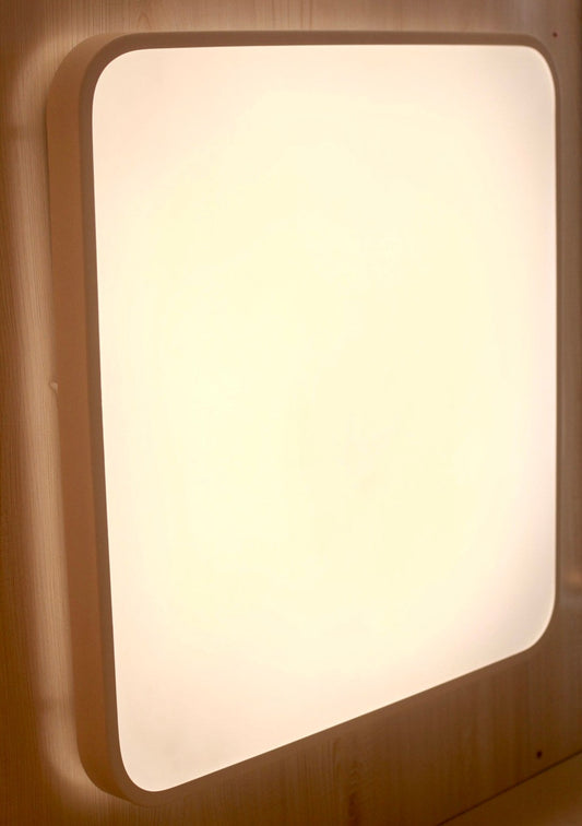 CEILING LIGHT C215