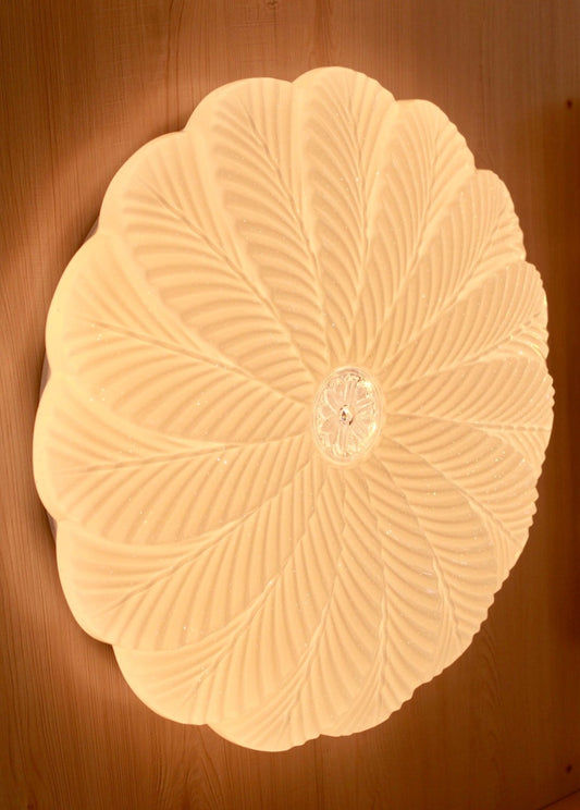 CEILING LIGHT C209