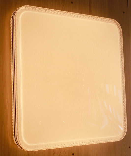 C204