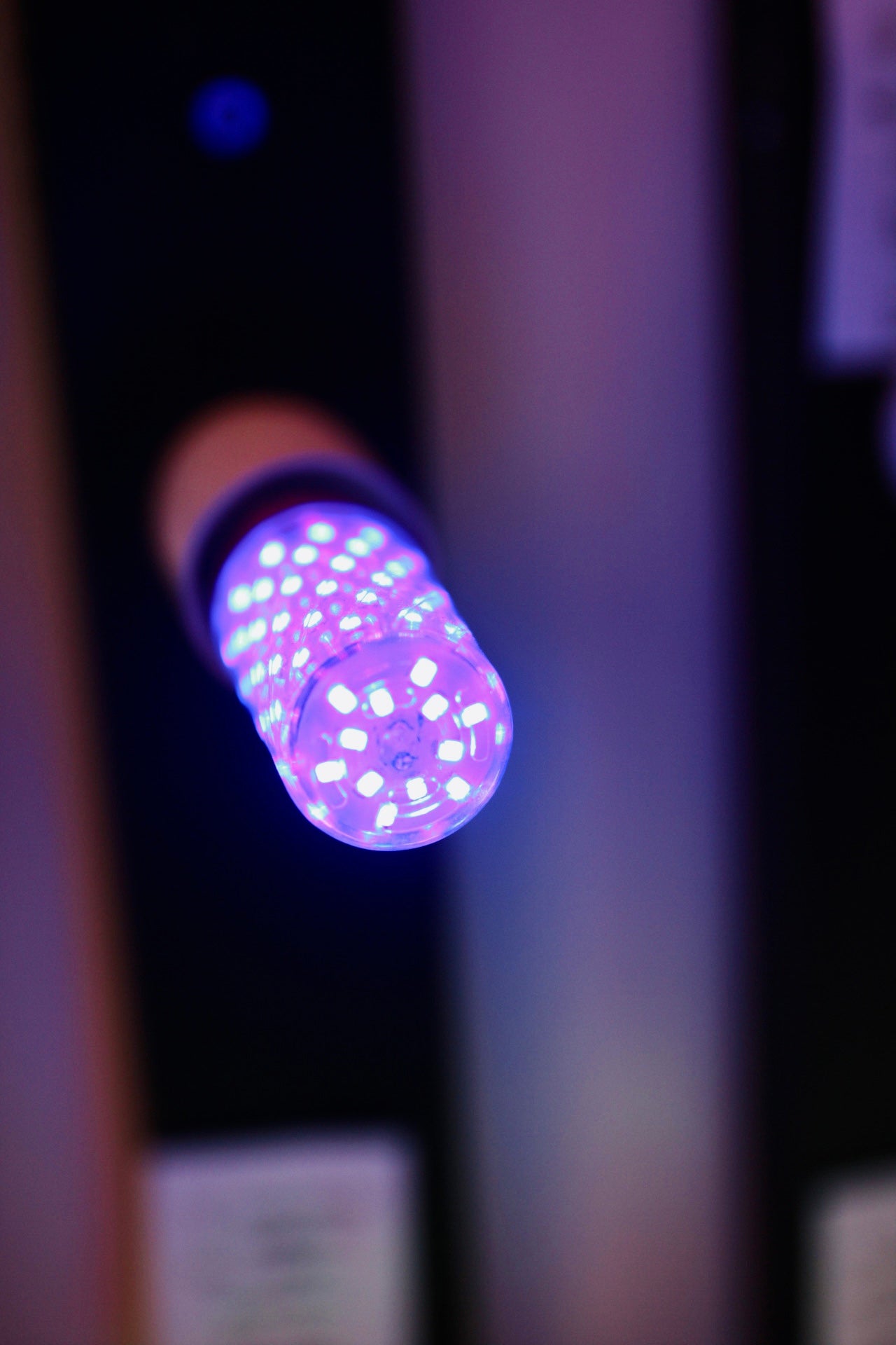 BULB LED 16W PURPLE
