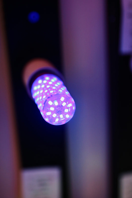 BULB LED 16W PURPLE