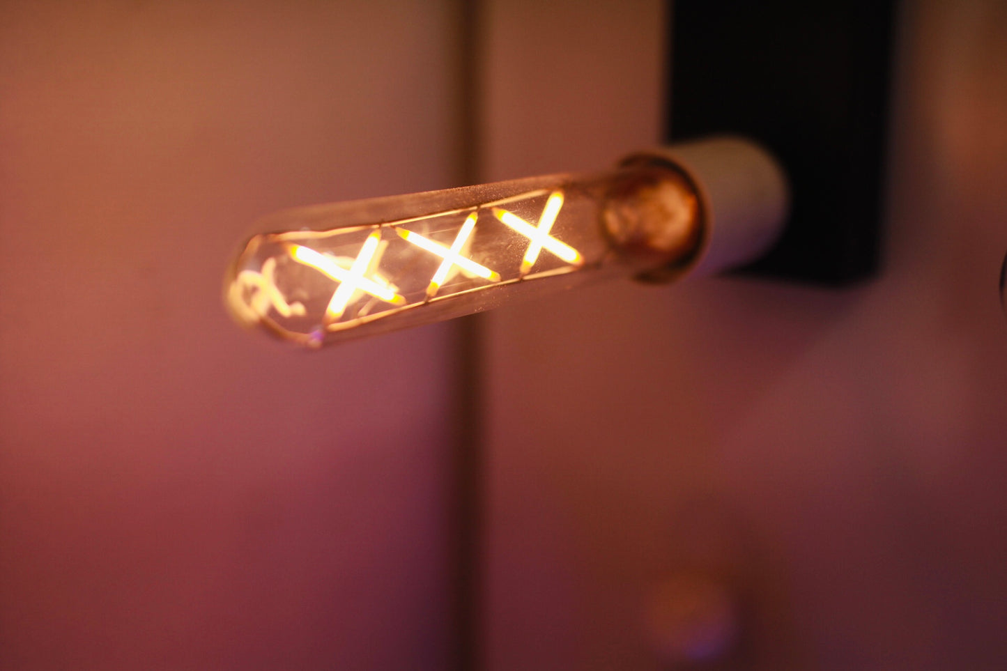 BULB 6W T125 WARM