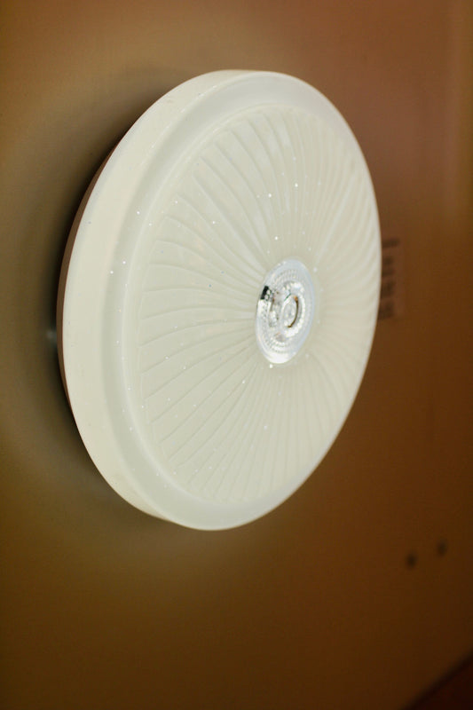CEILING LIGHT C509