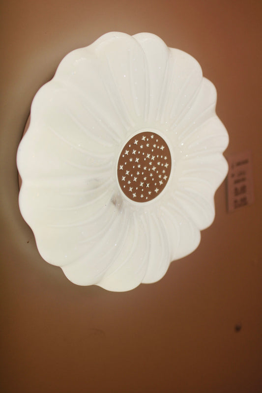 CEILING LIGHT C510