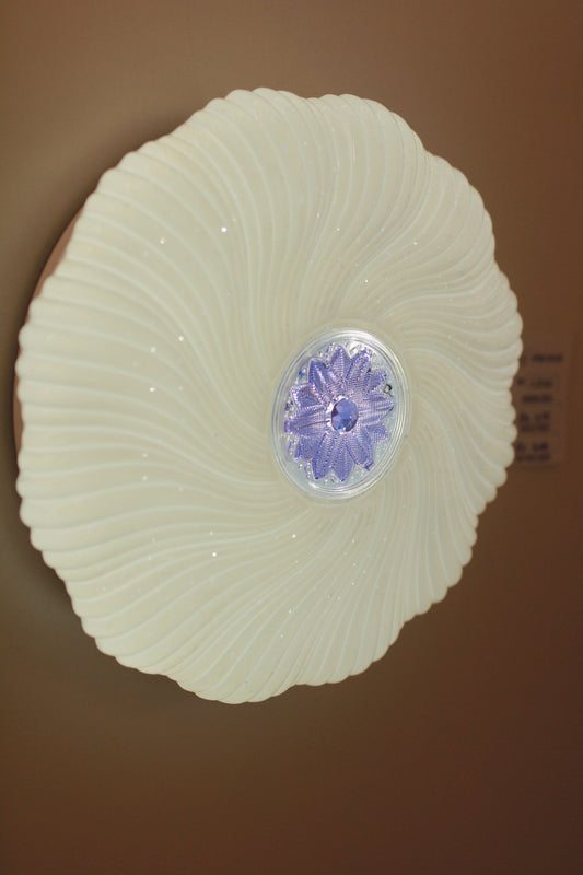 CEILING LIGHT C507