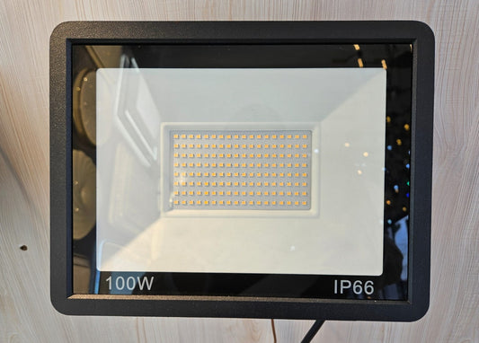 100W FLOODLIGHT WARM