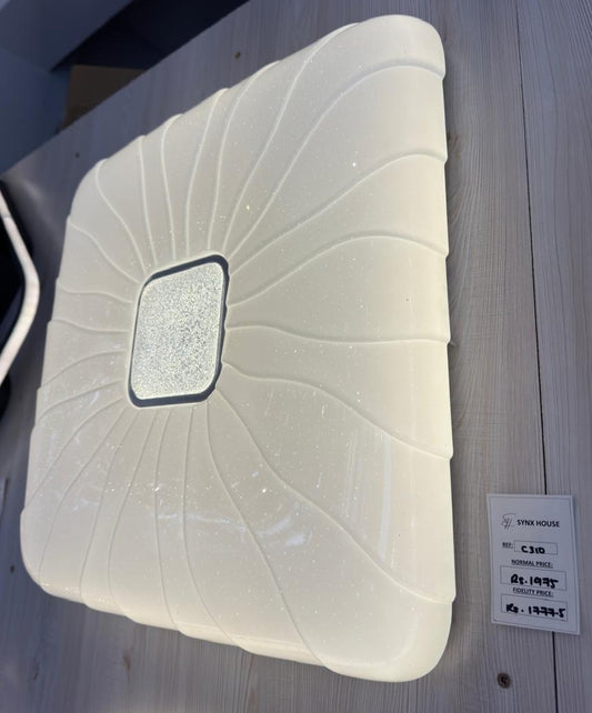 CEILING LIGHT C310