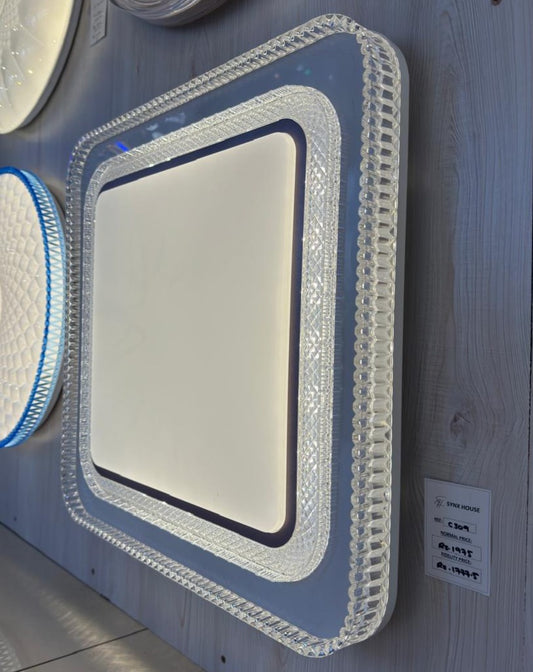 CEILING LIGHT C309