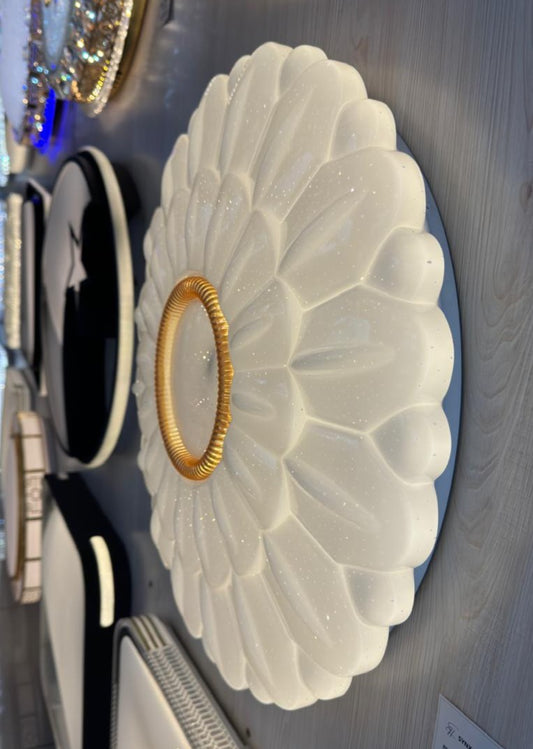 CEILING LIGHT C302