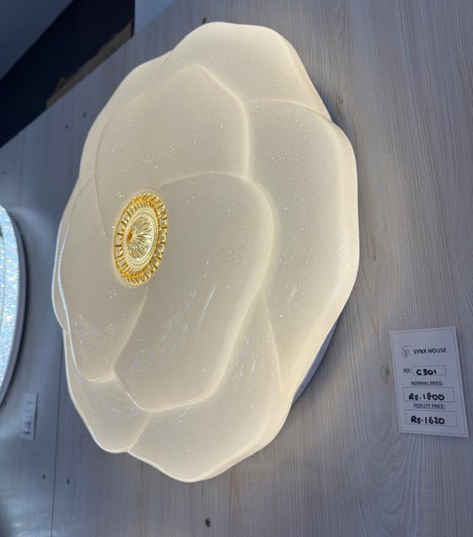 CEILING LIGHT C301