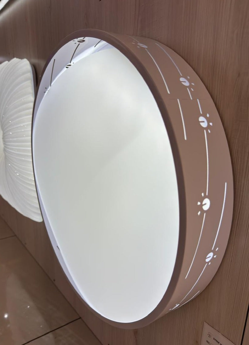 CEILING LIGHT C318