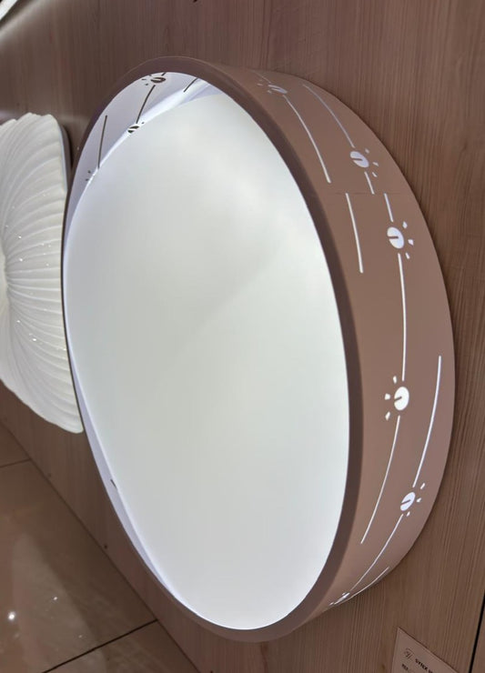 CEILING LIGHT C318