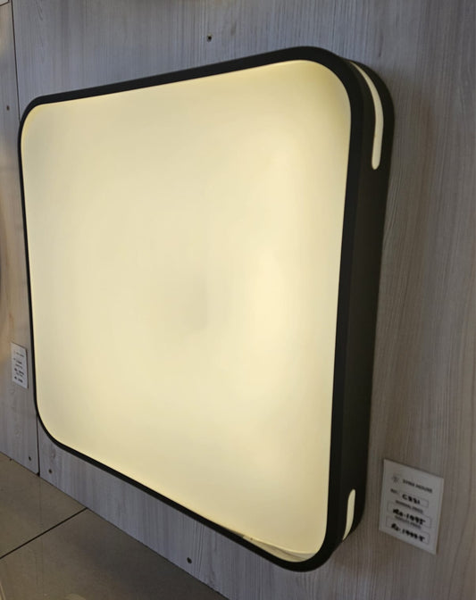 CEILING LIGHT C321