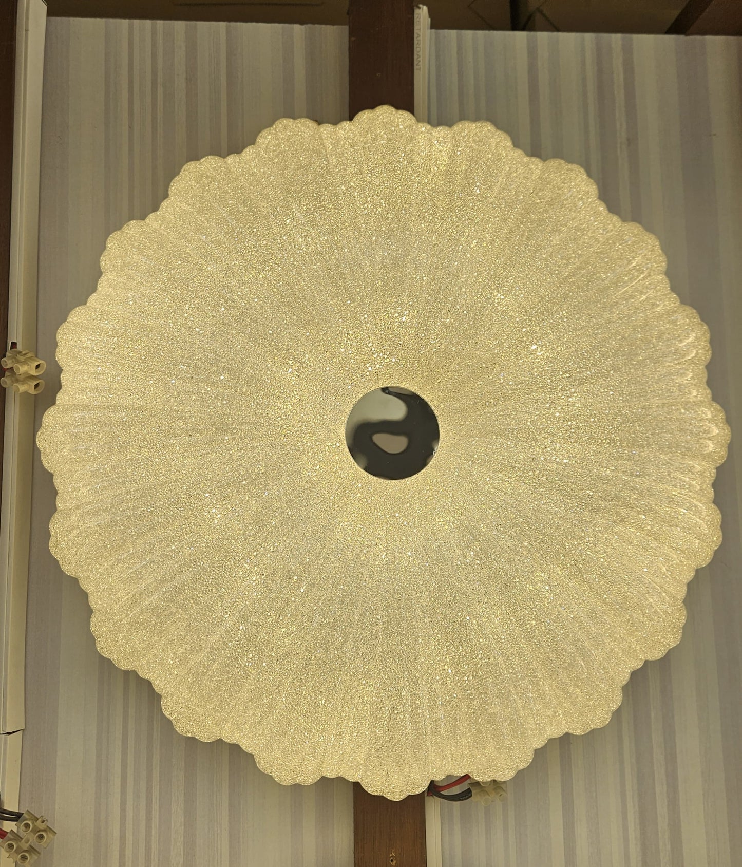 CEILING LIGHT C421