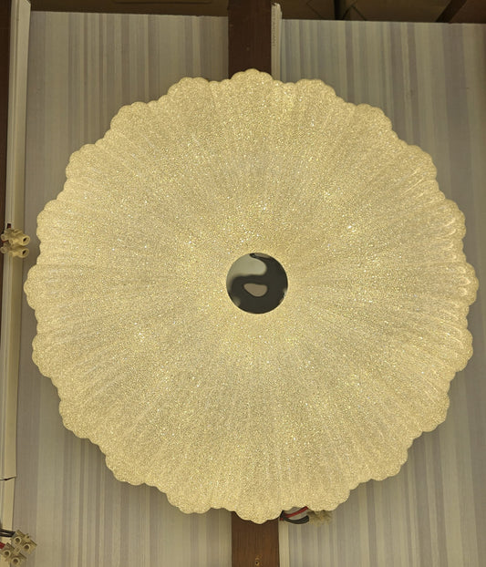 CEILING LIGHT C421
