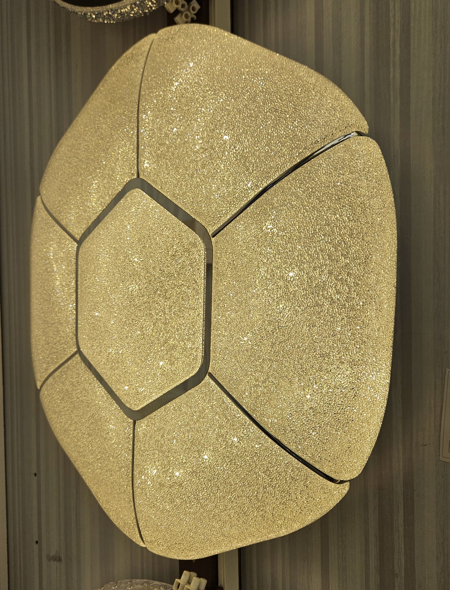 CEILING LIGHT C422