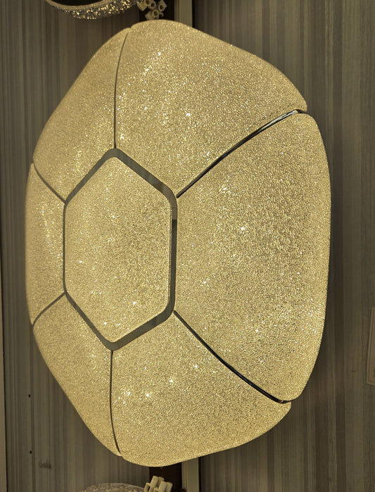 CEILING LIGHT C422