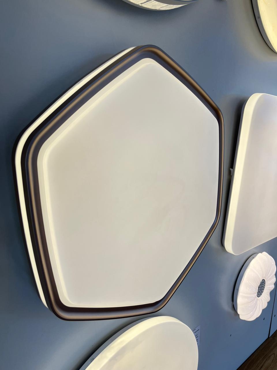 CEILING LIGHT C524