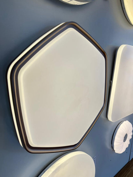 CEILING LIGHT C524