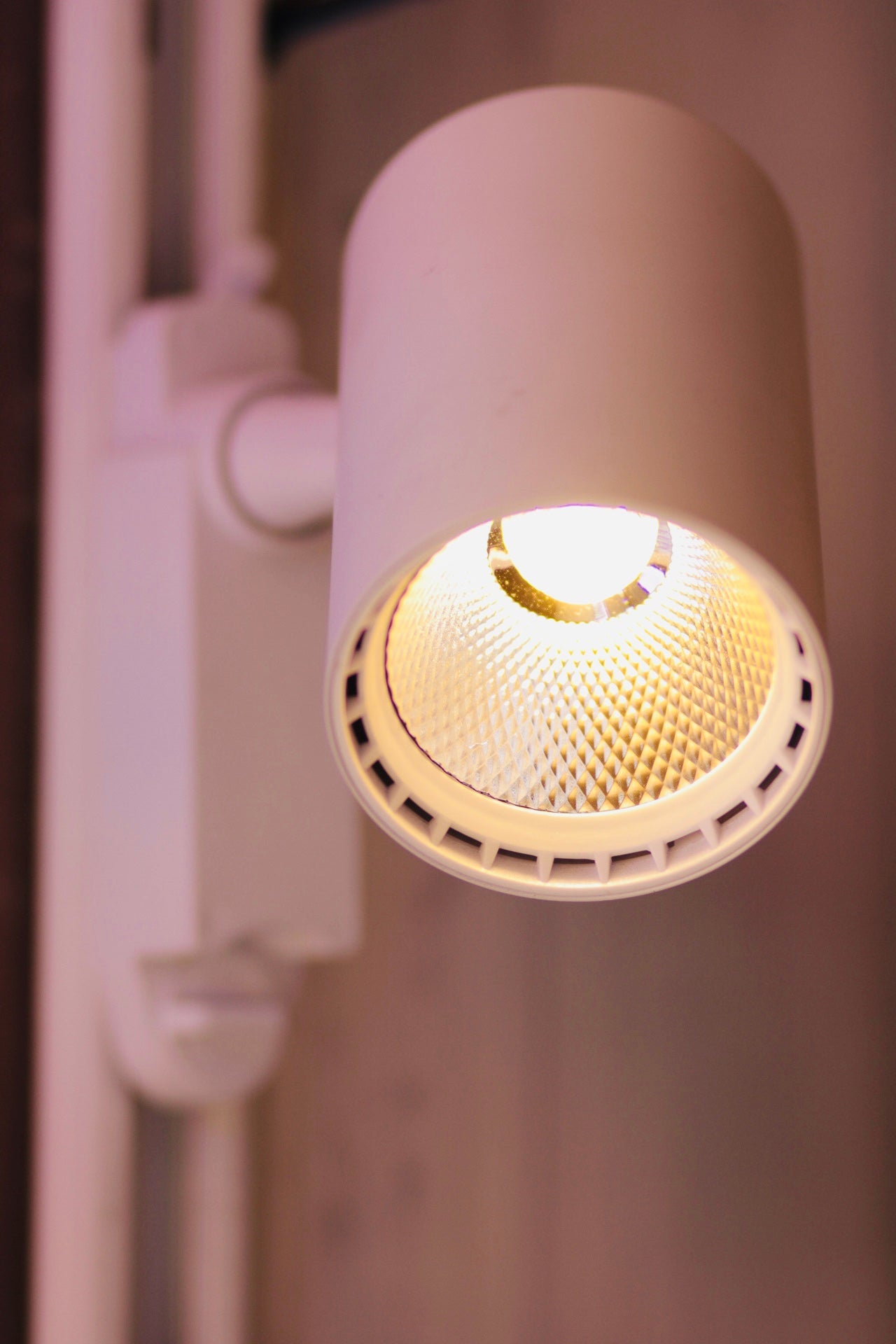 20W SPOTLIGHT TRACK LIGHT WHITE COATING WARM