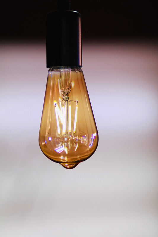 BULB LED EDISON 8W WARM