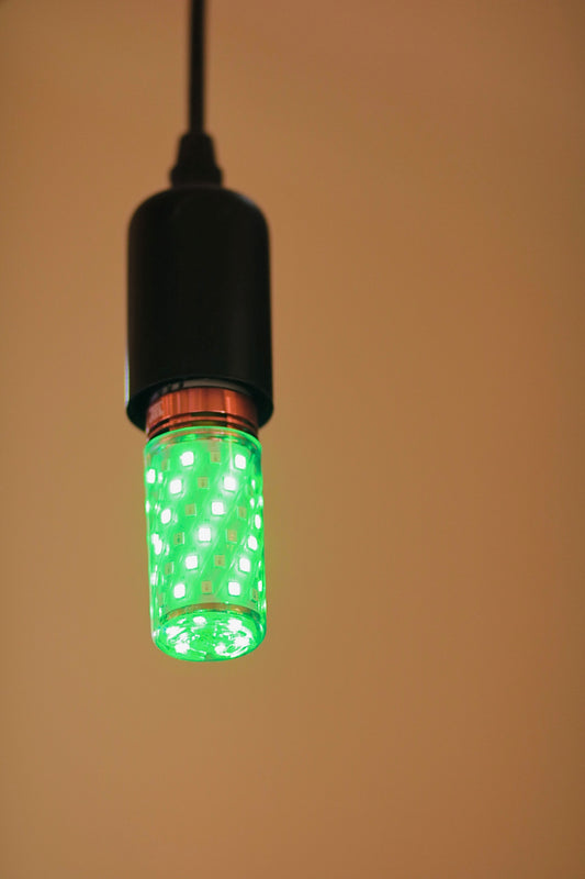 BULB LED 16W GREEN & BLUE