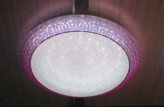 CEILING LIGHT C13